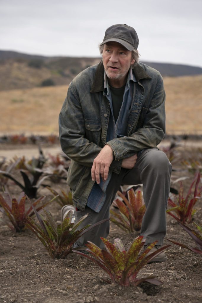 Homecoming stagione 2 - Chris Cooper - TV Tips anteprima
